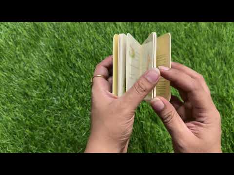 Guess How Much I Love You in the Summer (Mini)