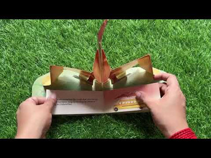 Baby Pteranodon (Dinobaby Pop-Ups)