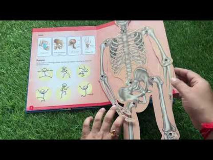 How Do Bones And Muscles Help The Body Move?(Concept Pop-up)