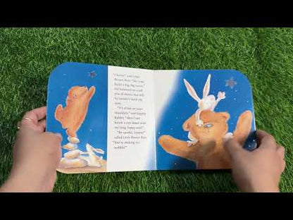 Little Bear's Special Wish