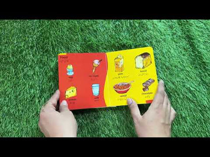 Mini Picture Dictionary - English-Urdu