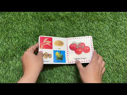 Priddy Books-  Farm